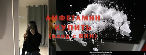 ПСИЛОЦИБИНОВЫЕ ГРИБЫ Гусев
