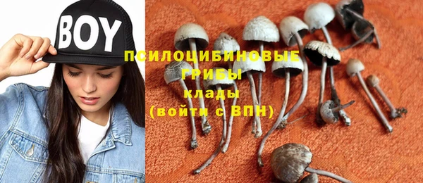 первитин Гусиноозёрск