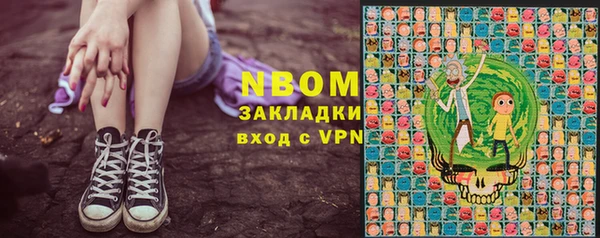 ПСИЛОЦИБИНОВЫЕ ГРИБЫ Гусев