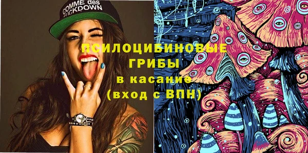 ПСИЛОЦИБИНОВЫЕ ГРИБЫ Гусев