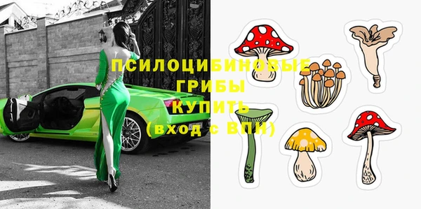 ПСИЛОЦИБИНОВЫЕ ГРИБЫ Гусев