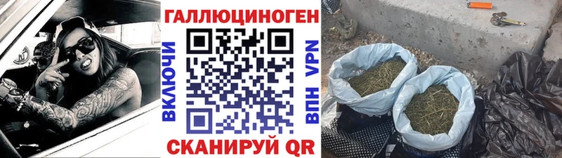 Купить закладки  Кадников  Галлюциногенные грибы Psilocybine cubensis 